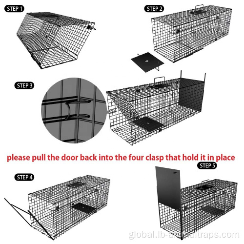 Live Animal Cage Trap Humane Live Animal Trap Catch Release Cage Factory